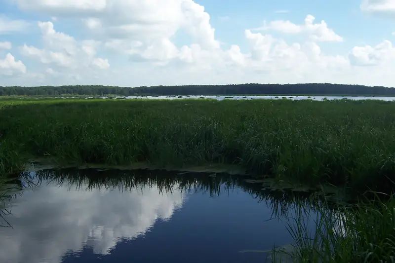 Wapanocca Lake, Arkansas